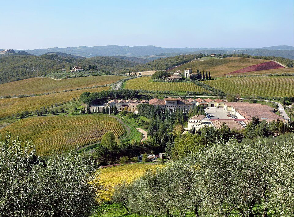 Vigneti del Chianti